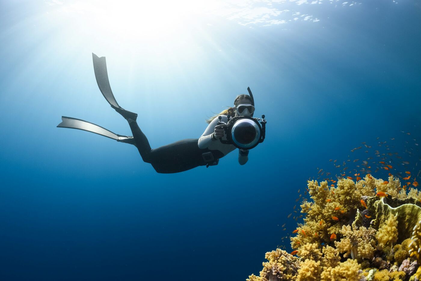Snorkeler exploring clear blue water, the typical scene on Lanzarote shore dives and snorkel sites