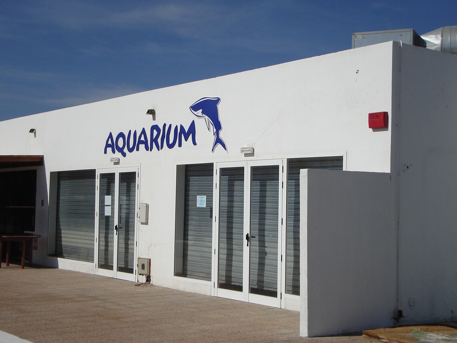 Lanzarote Aquarium in Costa Teguise with shark tunnel and marine displays