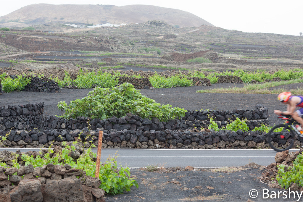 Ironman Lanzarote cyclist on the bike course past the volcanic vineyards of La Geria
