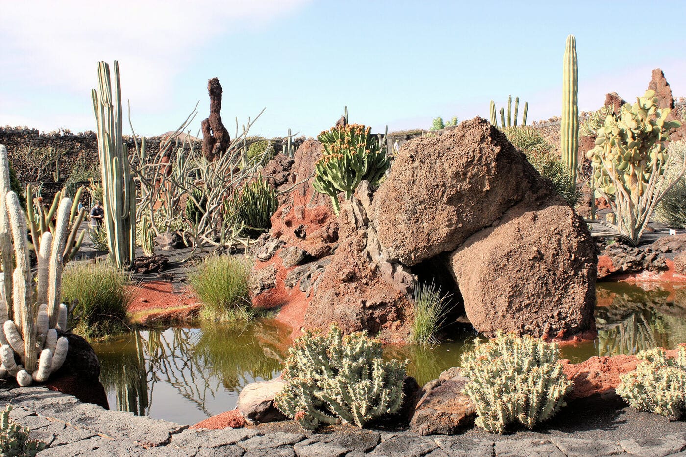 Cactus garden built in an old volcanic quarry at Jardín de Cactus, Lanzarote
