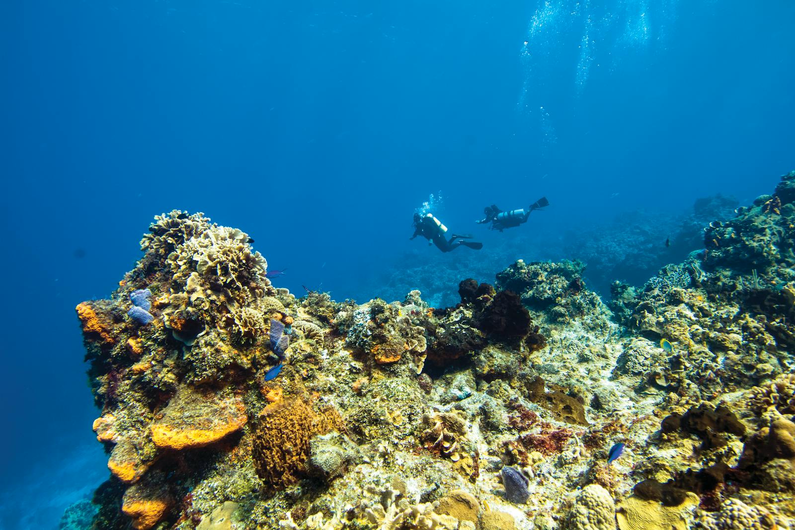 Diver gearing up in scuba equipment in clear blue Atlantic water